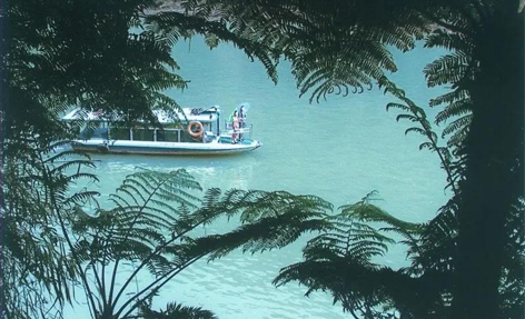 桫椤湖国度湿地公园