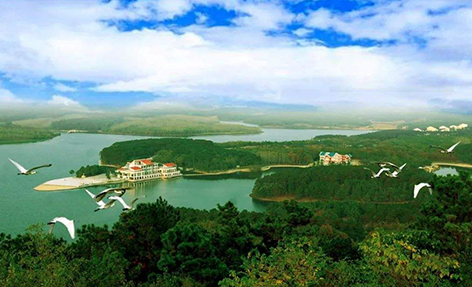 桫椤湖国度湿地公园