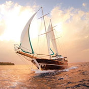 腾博官网-诚信为本,专业服务!